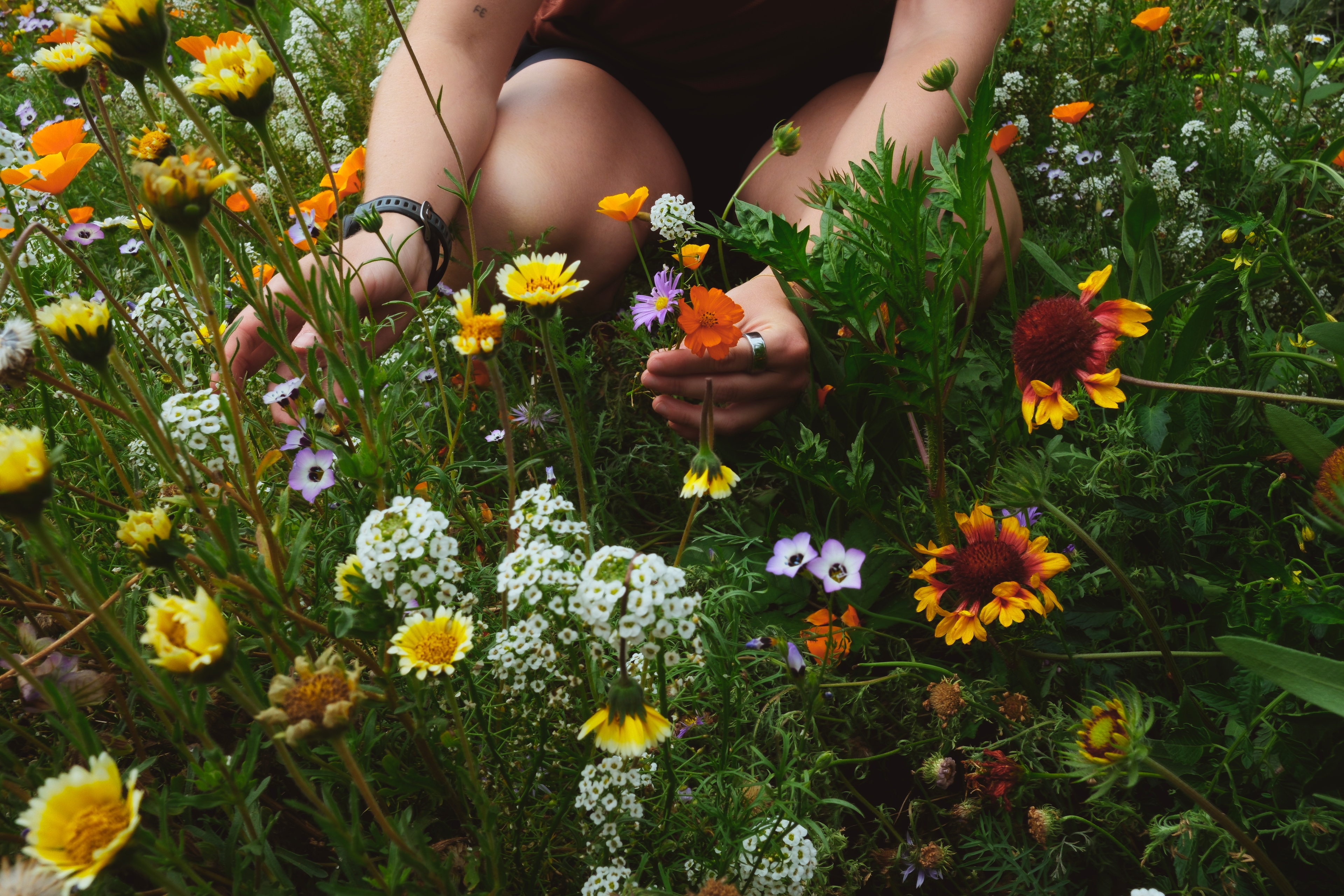 Fernanda Navarro In Bloom lookbook 1.1