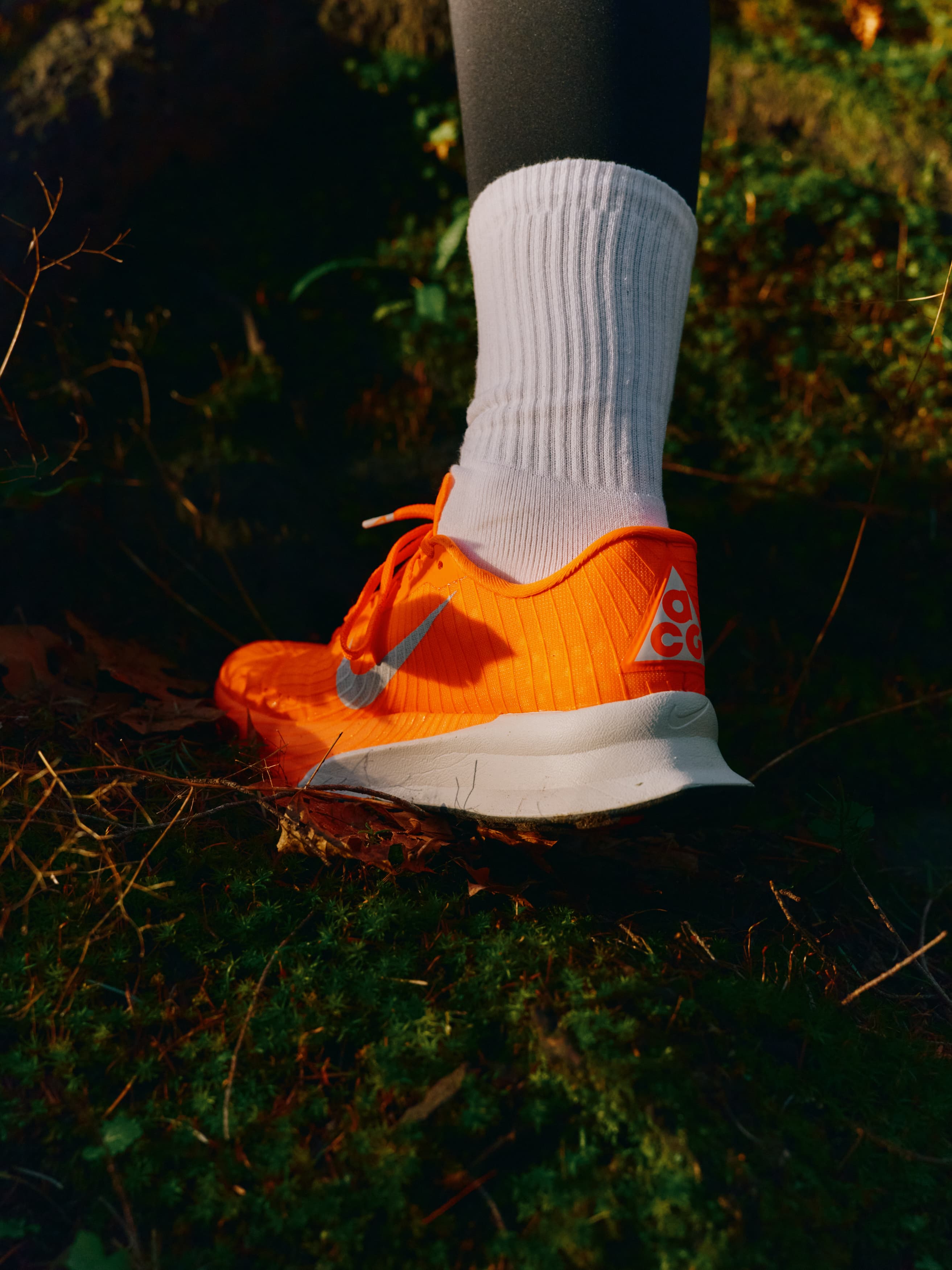 Lookbook image 4