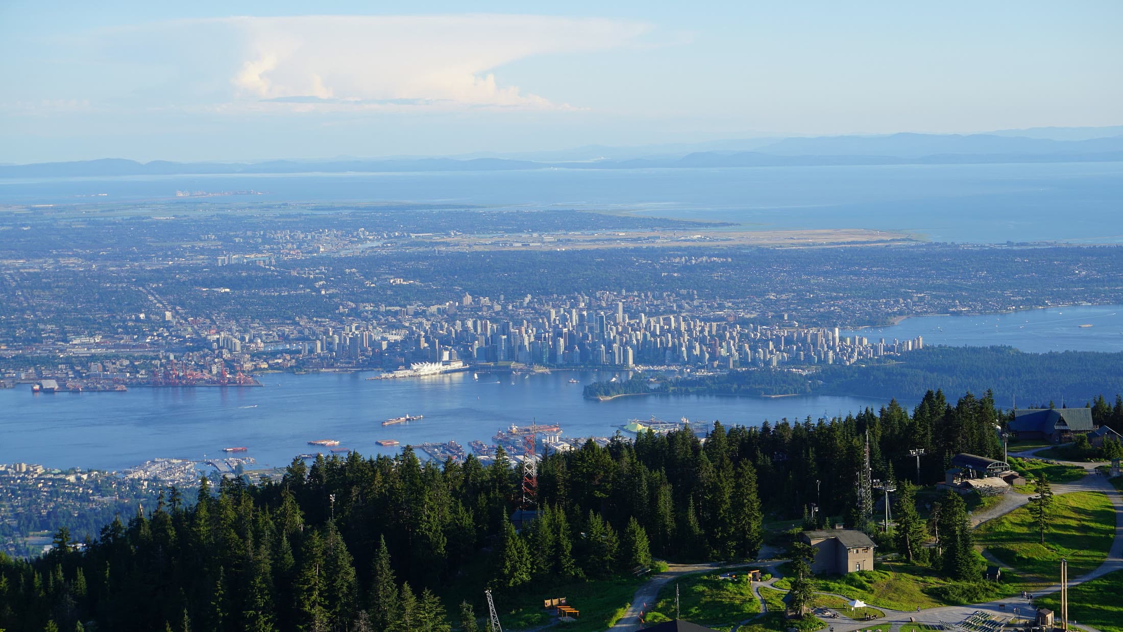 View from Cypress